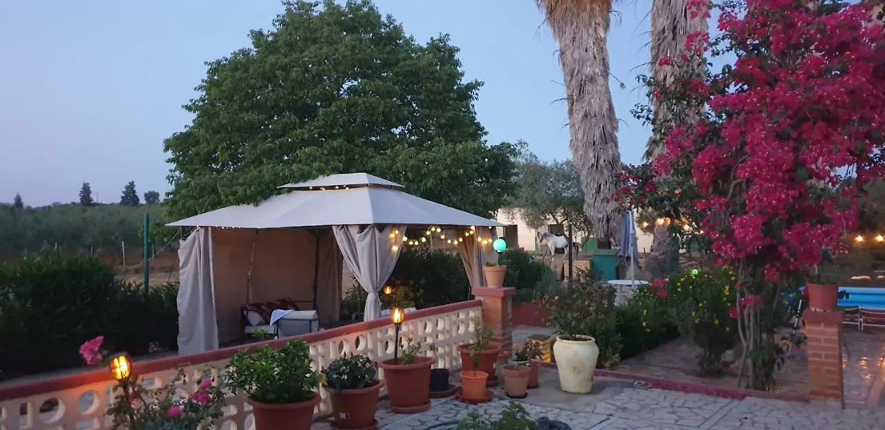 Finca-Vallestares Almonte