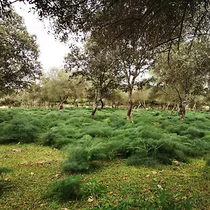  Villa La Fuensanta